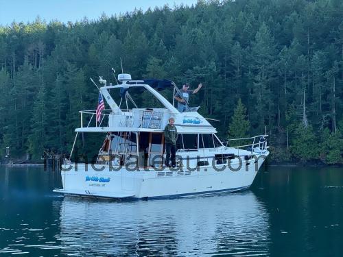 Bayliner 3888 Motoryacht fiche technique et avis